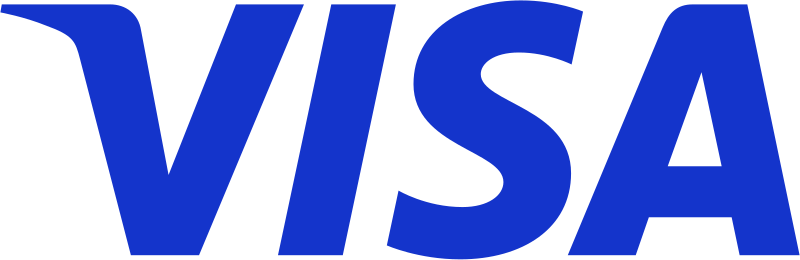 Visa 支付图标